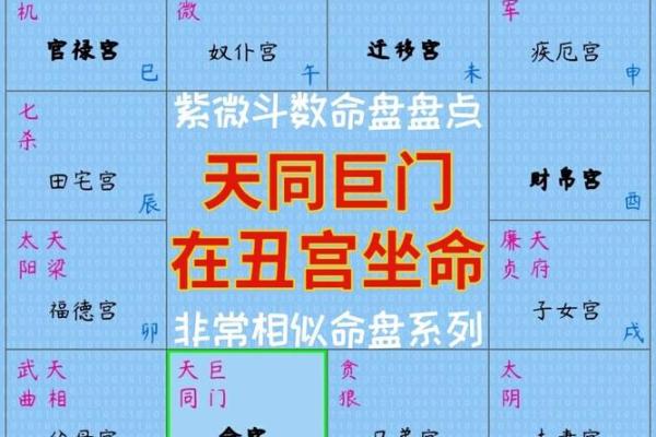 紫微斗数之事业宫与诸星，天同星在事业宫是什么意思？