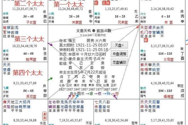 长寿的紫薇斗数
