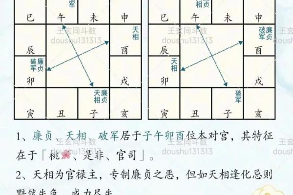 紫薇斗数福荫格