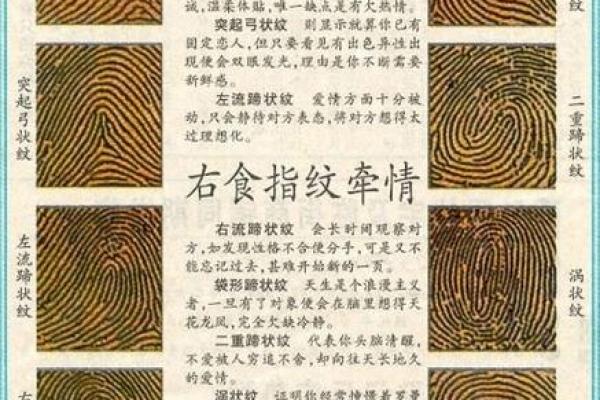 圆形手指算命