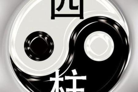 阳山八字