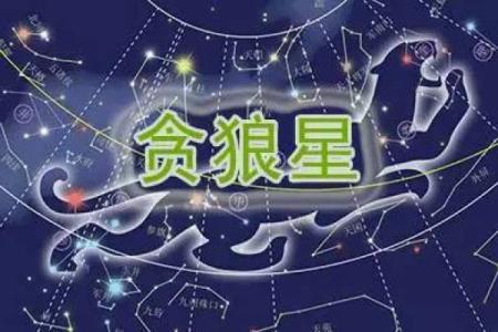 紫薇权贪狼在疾厄宫