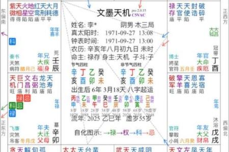 紫薇斗数马落空亡格