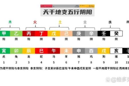 八字阴阳对照表，天干阴阳五行表
