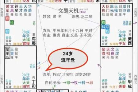 紫薇斗数流年学历