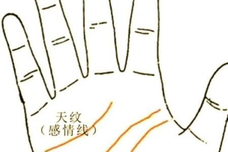 手纹线看相 手纹看相算命图解