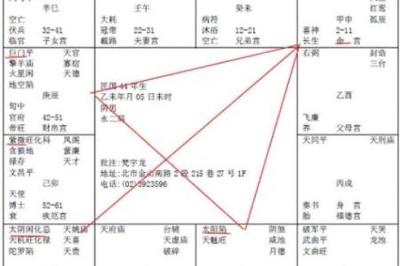 紫微星入命宫与其他星曜之关系分析#紫微斗数教学