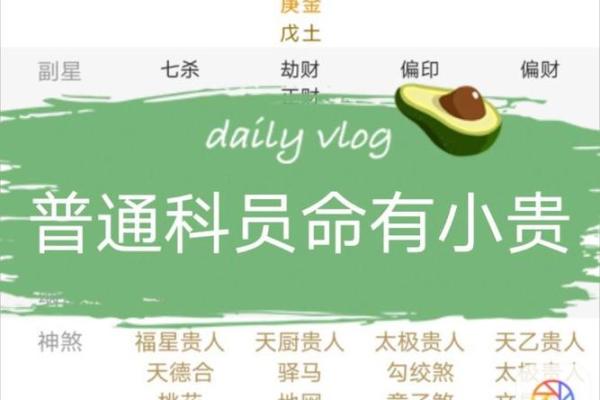 八字测算你适合哪种官职