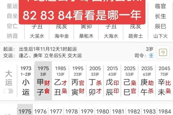 丁酉八字