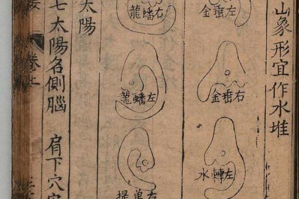 风水真理，天机独秘，惟吾能泄