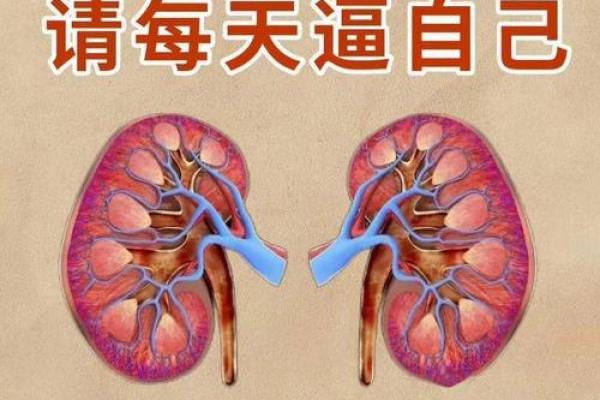 八字无水肾不好怎么办
