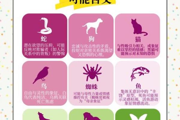 梦见房子风水不好有蛇