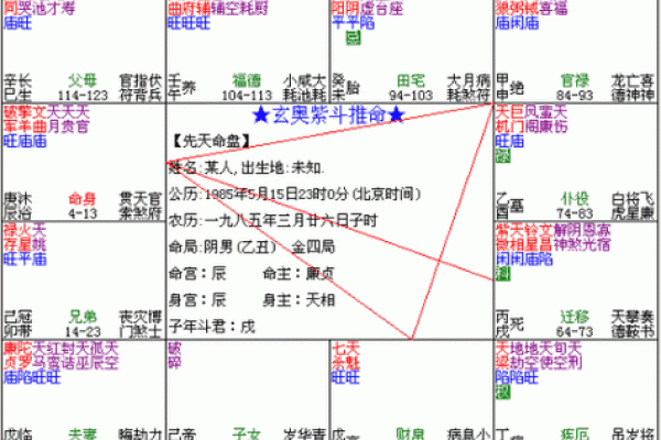 紫微斗数小字 紫微斗数小字衰老病死？
