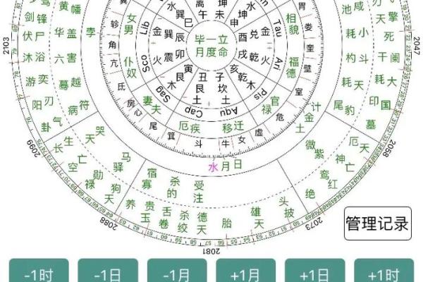 紫薇斗数照