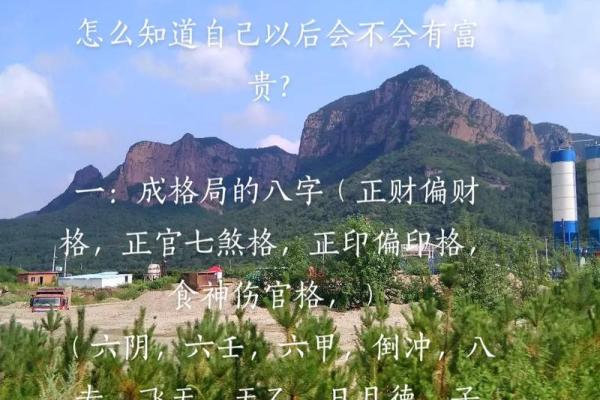 朝阳八字