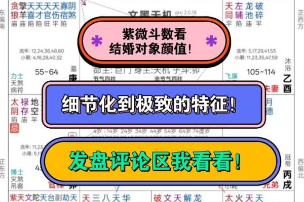 紫薇斗数视频奖励