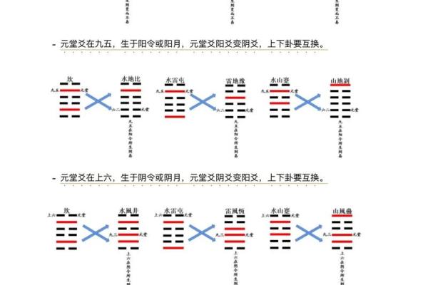 八字阳多