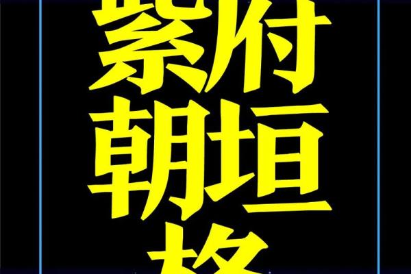 紫薇斗数富翁格局