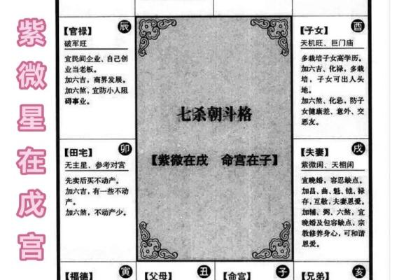 紫薇斗数辅助星