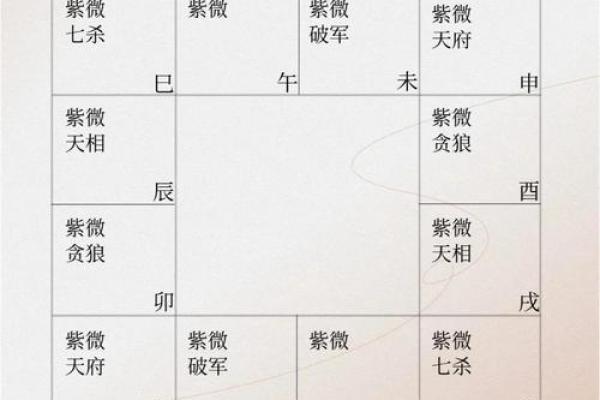 紫薇斗数命宫原理