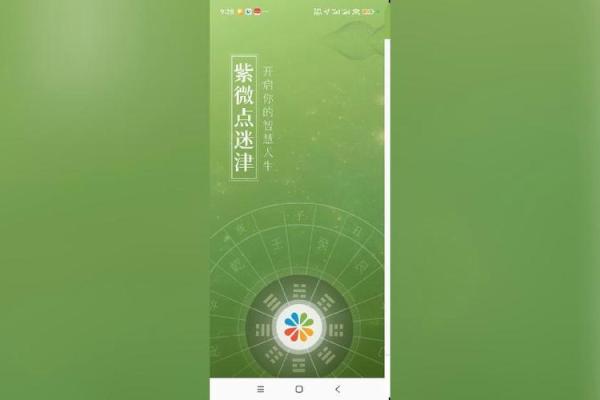 国内紫薇斗数大师