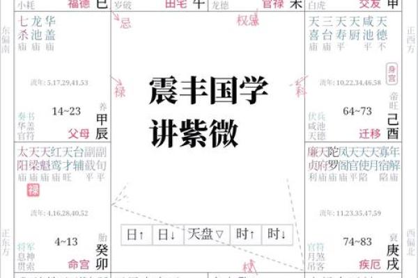 清朝道光皇帝紫微斗数命盘 清代道光? 清朝道光皇帝紫微斗数命盘 清代道光?