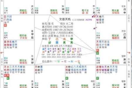天虚紫薇斗数