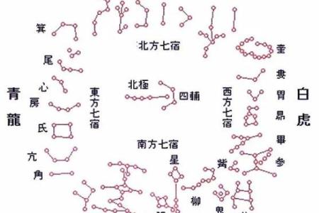 紫微斗数小星宿的含义 紫微斗数二十八星宿详解？