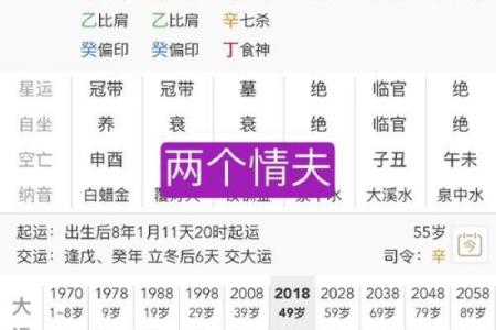 丁酉八字