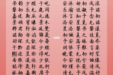 宝宝八字啥都不缺怎么取名,女孩缺火缺木取名