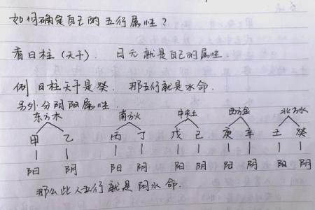 五行八字