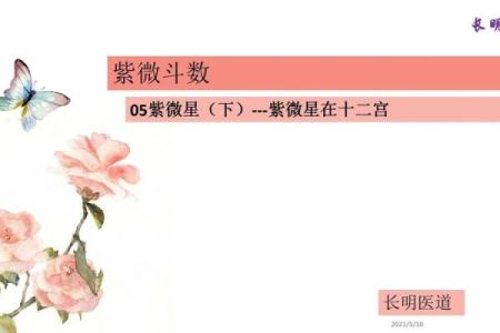 紫微斗数紫薇星