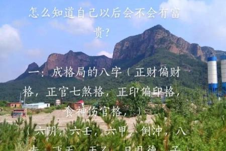 朝阳八字