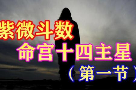 紫薇斗数视频奖励