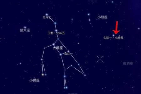 紫薇星是什么