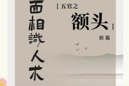 面相额头 女人额头高算命