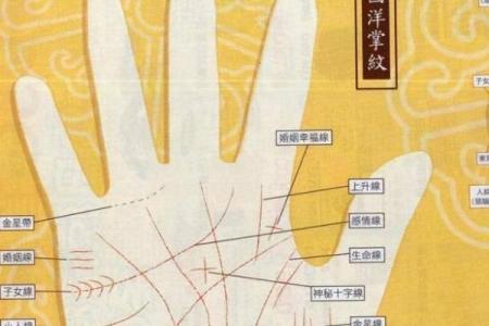 手纹线图解大全男人手相 男人算命看左手还是右手