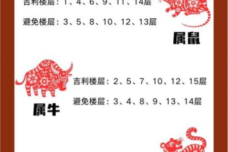 买房子选楼层,看风水.我属虎,木.老公属羊,土.