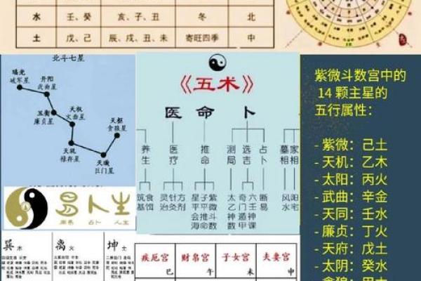 紫薇免费算命准不准？详解紫薇的命理学特点