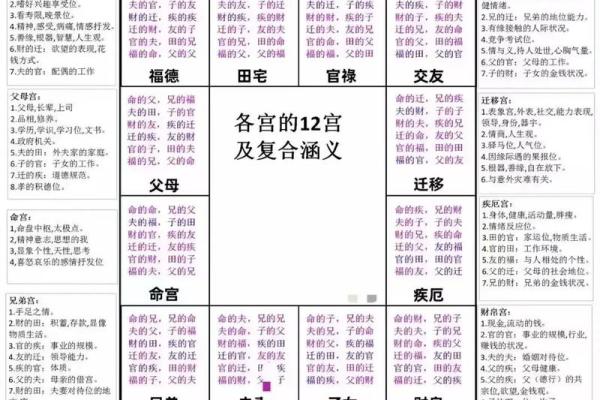 紫薇斗数权是什么意思