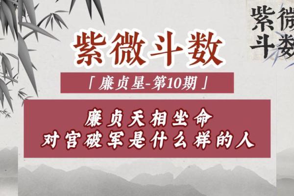 紫微斗数之廉贞星双星组合实战
