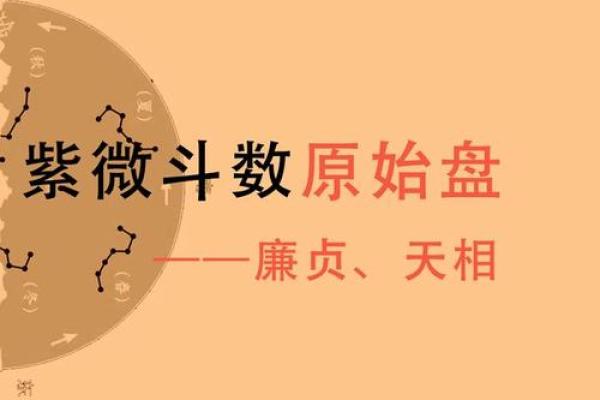 《紫微斗数》：廉贞.天相在财帛宫