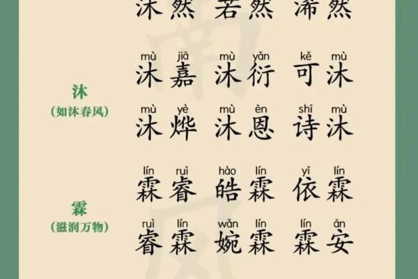 宝宝五行八字起名,五行起名打分测试