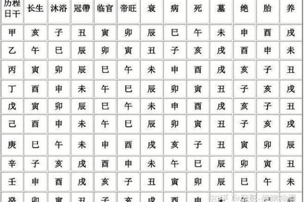 八字十二地支详解