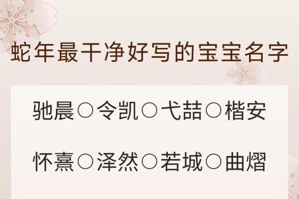 查名字官网,姓名测试打分重名查询