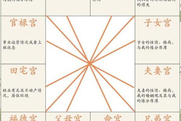 紫薇斗数中禄