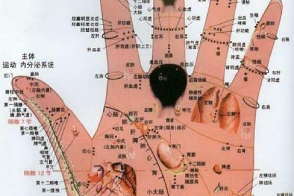 怎么看手相算命？只看男左女右对吗？