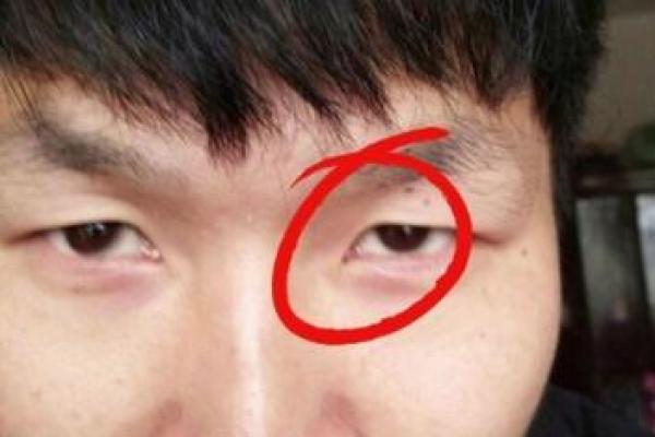 风水面相三角眼的男生性格特征表现