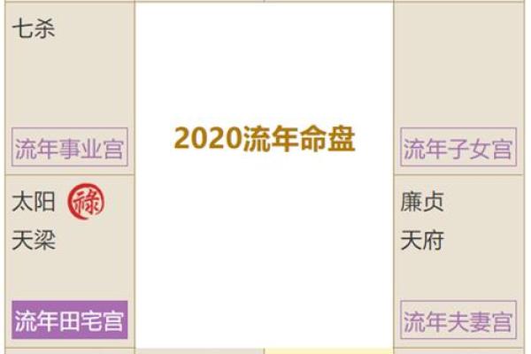 紫薇斗数流年怎么数