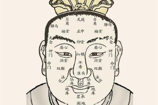 算命中鼻头大好吗